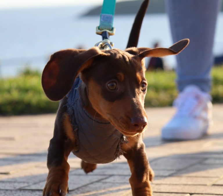 Urban, Landscape, Nature Urban & Landscape